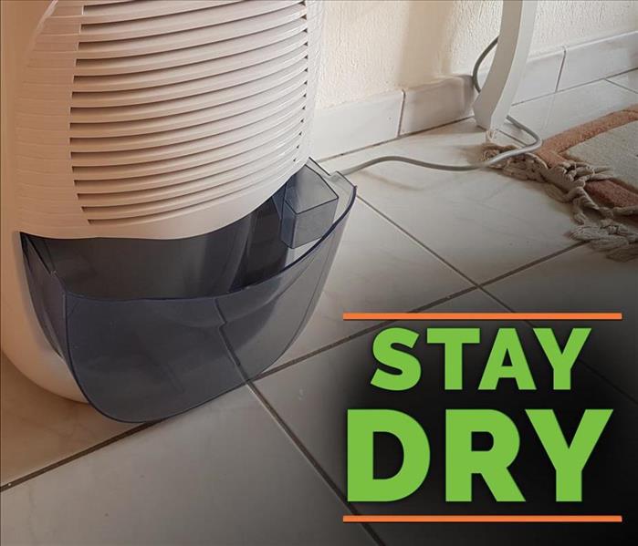 Dehumidifier with the phrase STAY DRY